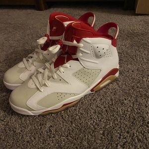 Jordan 6 Alternate Hare size 13